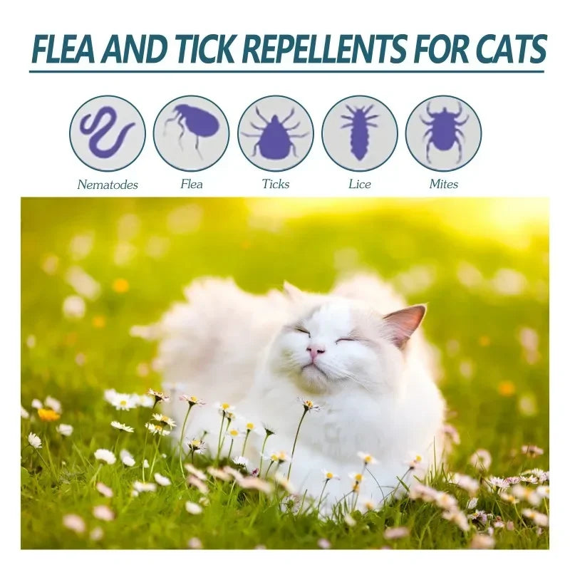 50ml Pet Anti Flea Tick Agent for Cats, Dogs, and Dogs. Extracorporeal Deworming Skin Cleaning Agent for Lice, Ticks, and Ticks Quake