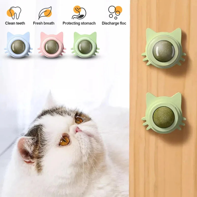 1PCS Catnip Lollipop Cat Treat Wall Design Dental Care Fresh Breath Cat Snacks Energy Ball Stomach Protection Pet Supplies Quake