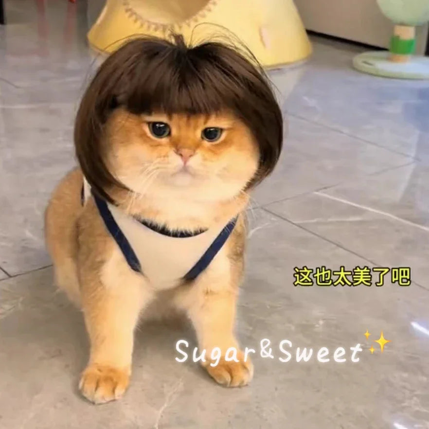 Dog Wig Funny Pet Wig Headgear Cat Dog Funny Hair Accessories Bangs Braids Exploding Heads Cosplay Quake
