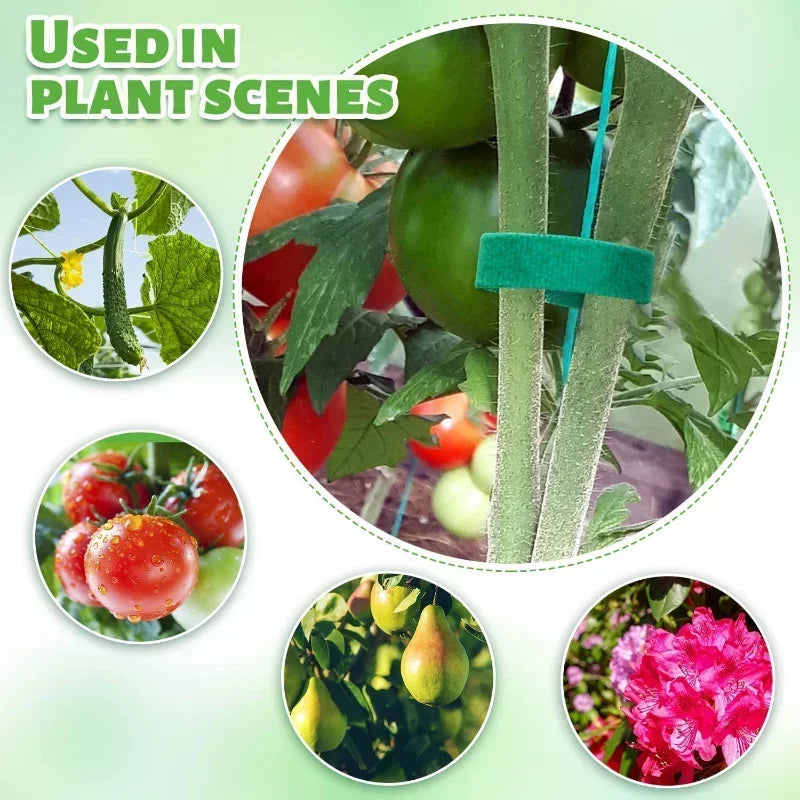 5/1Roll Nylon Plant Ties Plant Bandage Hook Tie Loop Adjustable Plant Support Reusable Fastener Tape for Home Garden Accessories Quake