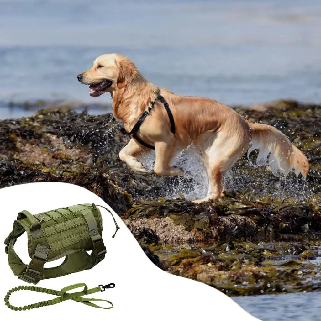 Pet Detachable Dog Harness Service Dogs for Breeds Hunting Running Quake Green M