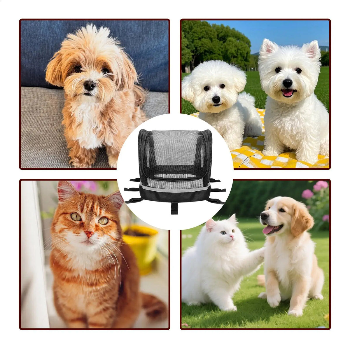 Dog Bike Basket Cat Bicycle Handlebar Carrier with Window Small Dog Bicycle Basket for Daily Leisure Commuting Outdoor Urban Quake