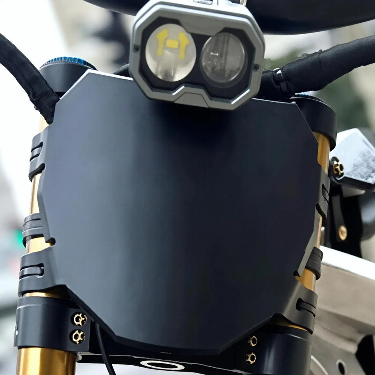 Number Plate for Electric Bike Lightweight Universal Accessories Dirt Bike Accessories License Plate for Long Driving Touring Quake