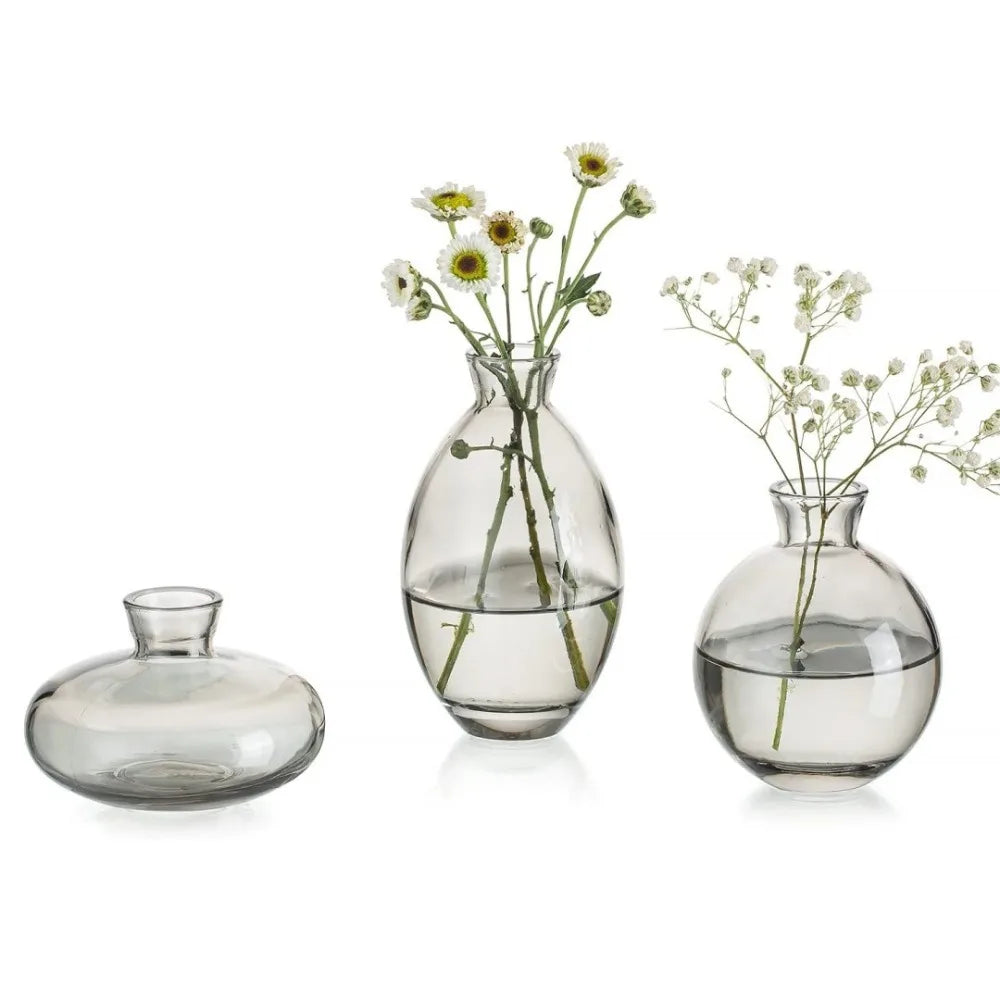 Transparent Mini Flower Vase Home Decoration Glass Hydroponic Plant Bottle Small Desktop Flower Arrangement Pot Living Room Quake