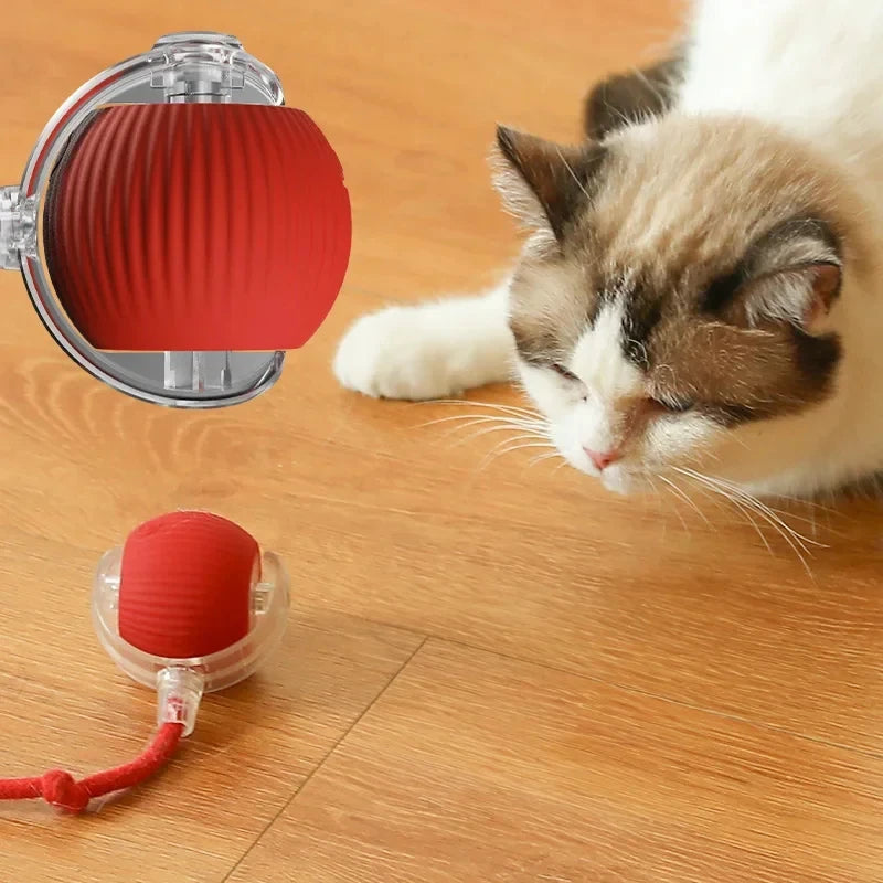 Cat Toy Ball Self Hi Ball Teasing Cat Rolling Ball Hair Pet Relieve Boredom Plush Teasing Cat Ball Cat Toys Pet Quake