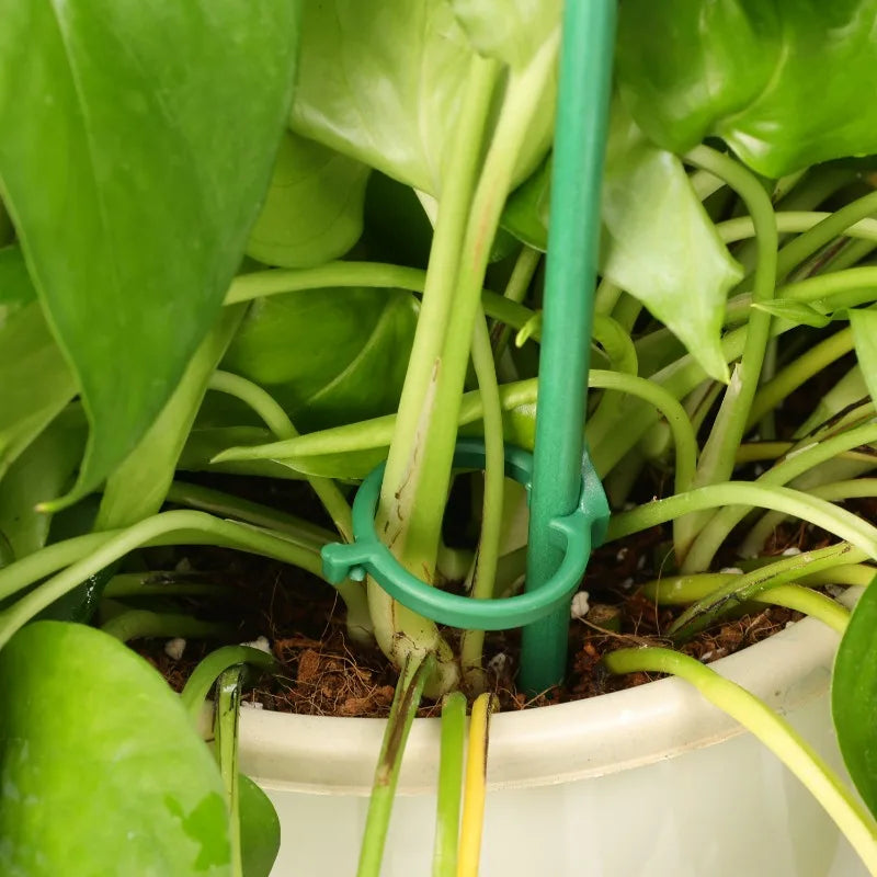 30/40cm Garden Plant Support Pole Orchid Stakes with Clip Adjustable Plant Stand Suitable for Potted Plants Vegetables Tomatoes Quake