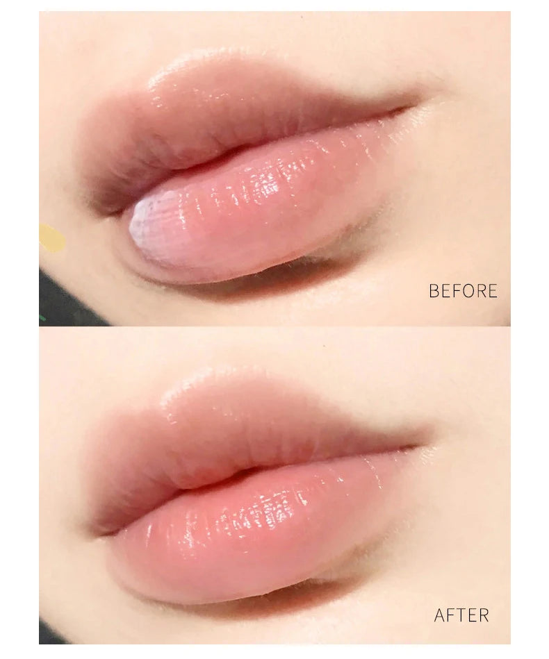 New 4/6/8pcs Moisturizing Lip Balm Sets Lipstick Makeup Natural Plant Base Moisturizer Lip Balm Anti-Cracking Lips Skin Care Quake