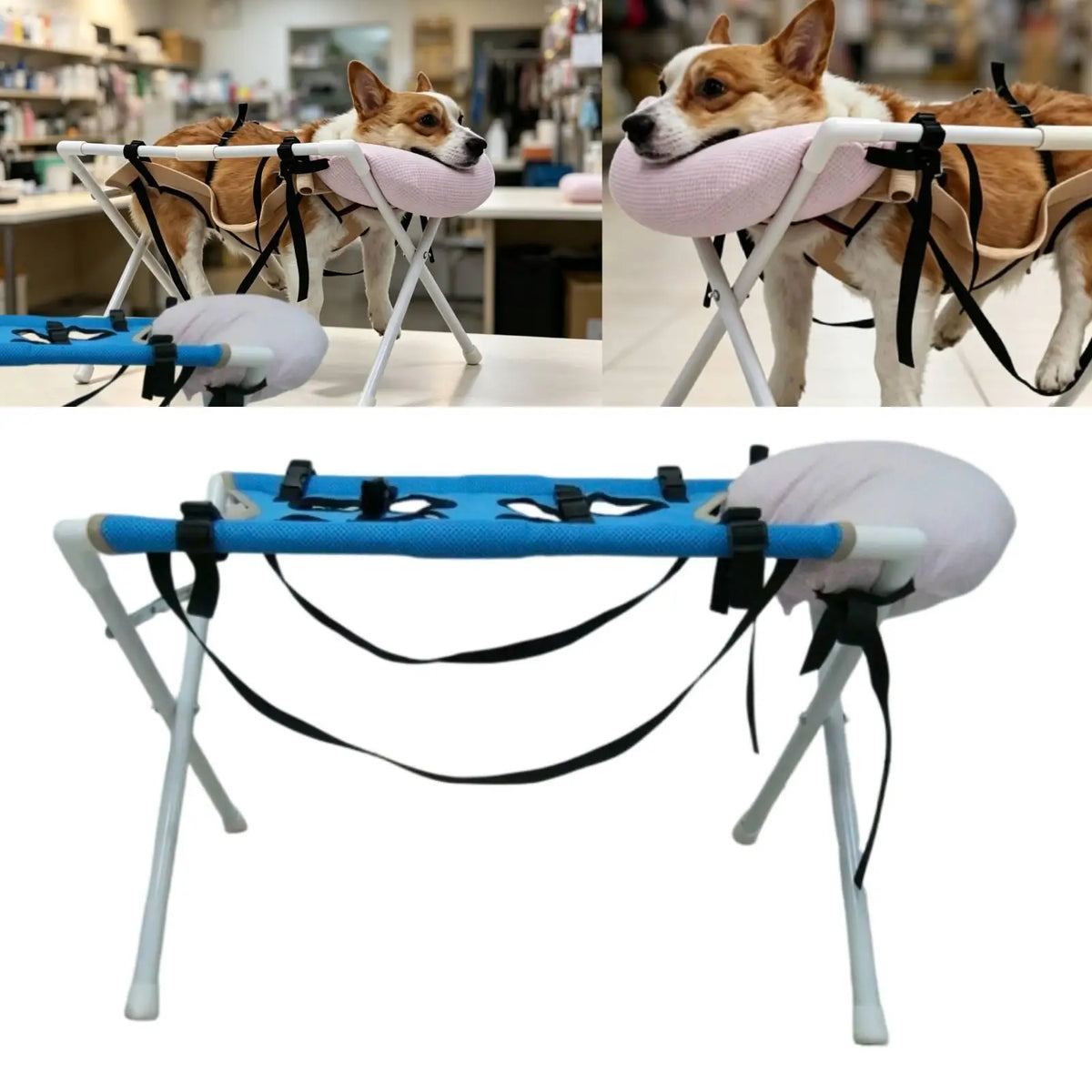 Pet Grooming Table Cleaning Accessory Pet Washing Station Bathing Stand with Pillow for Home Nail Trimming Pets Bathing Grooming Quake