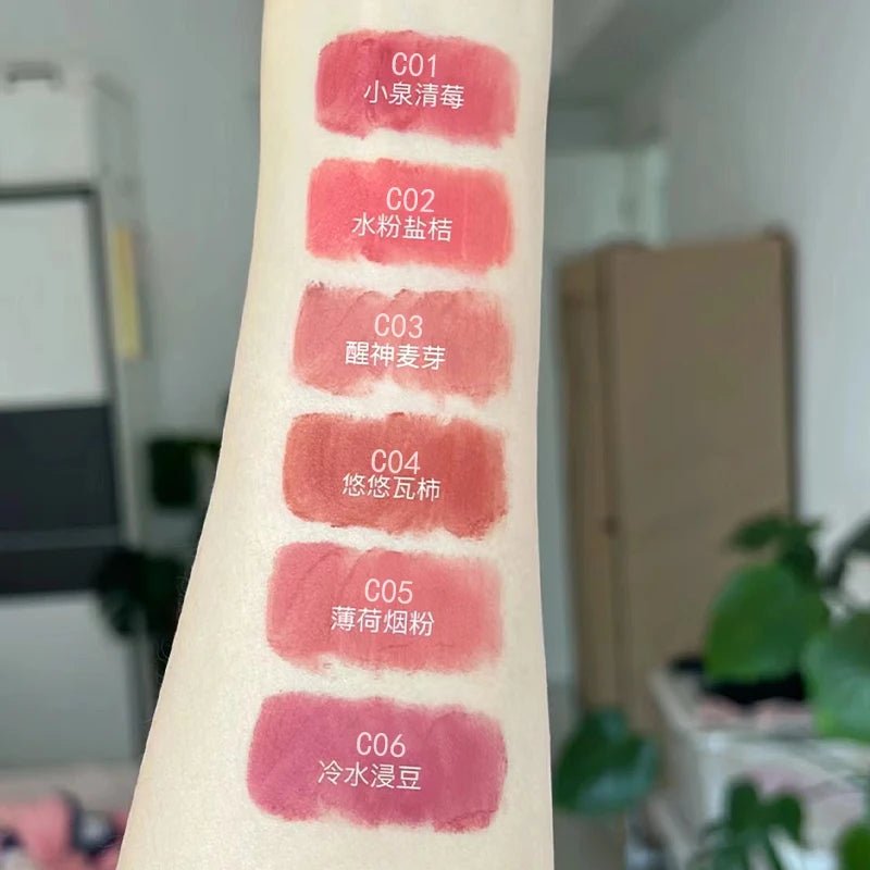 6 Colors Long-Lasting Matte Liquid Lip Gloss with Soft Velvet Finish and Waterproof Formula Lip Clay Lip Glaze Gift Makeup Quake