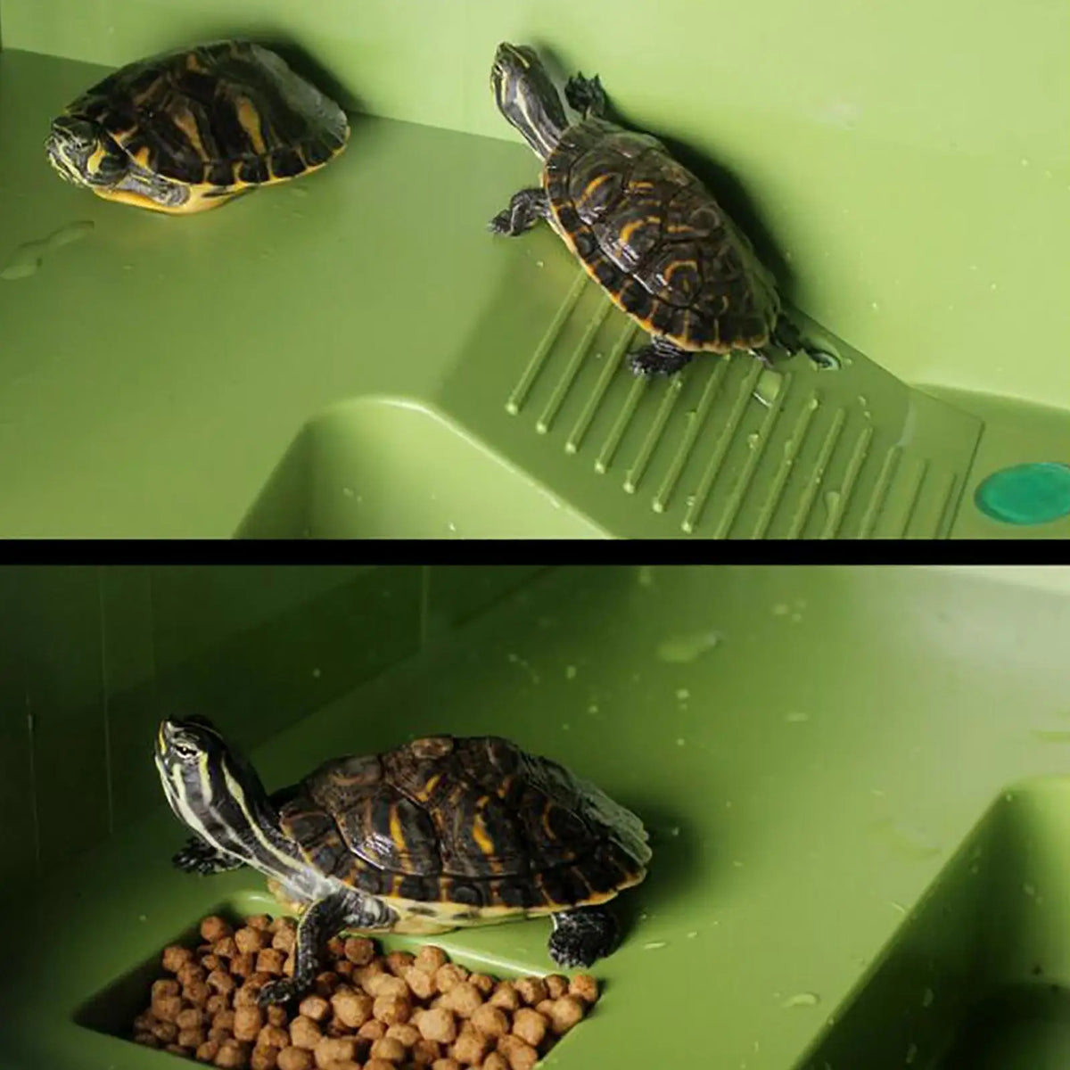 Turtle Basking Platform Turtle Resting Basking Platform, Turtle Ramp for Turtle Tank, for Small Reptile Frog Terrapin Quake