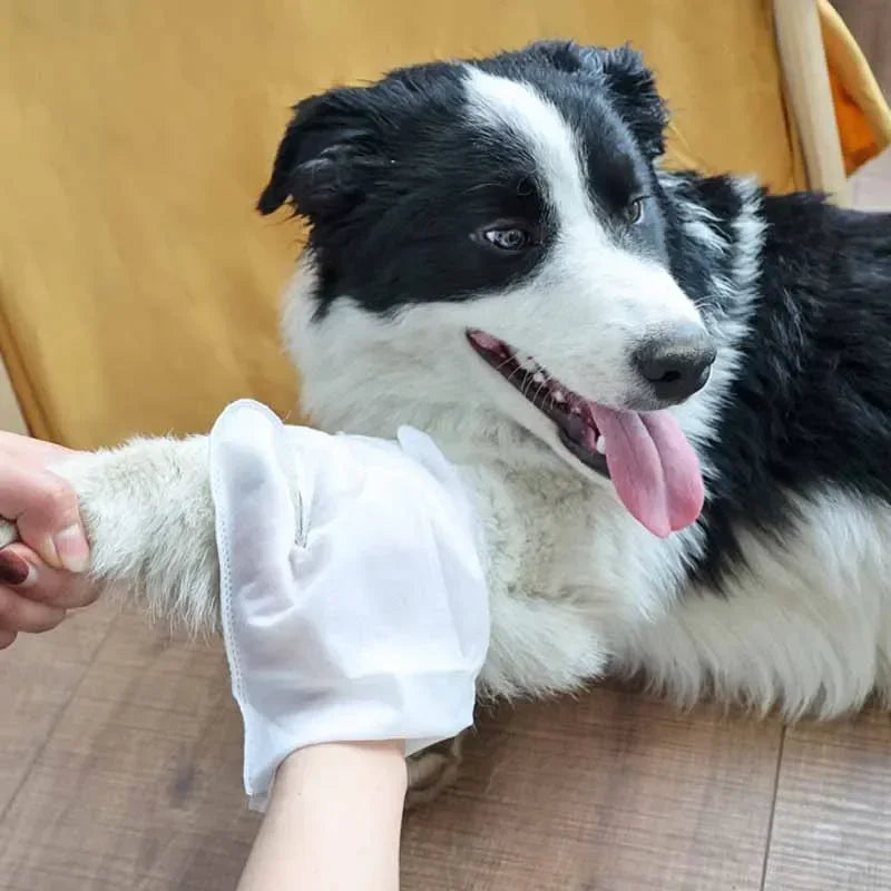 6PCS Cat Dog Disposable Glove Towels Pet Wash Free Glove No Rinse Washing Gloves Towels Deodorizing Dry Cleaning Wet Towels Quake