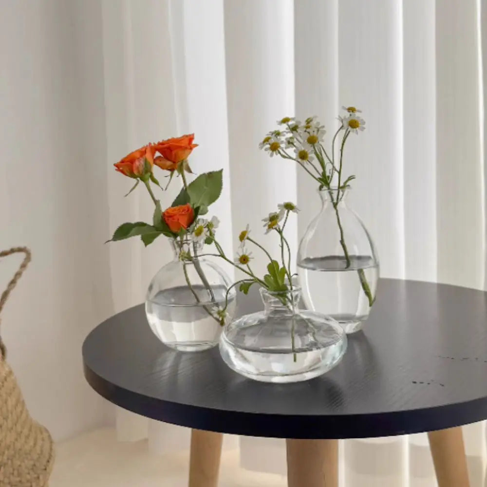 Transparent Mini Flower Vase Home Decoration Glass Hydroponic Plant Bottle Small Desktop Flower Arrangement Pot Living Room Quake
