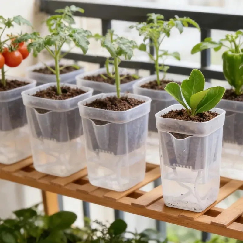 5/1PCS Dry Wet Separation Seedling Planting Flowerpot Self Watering Plant Pots Mini Translucent Plastic Planters Garden Supplies Quake
