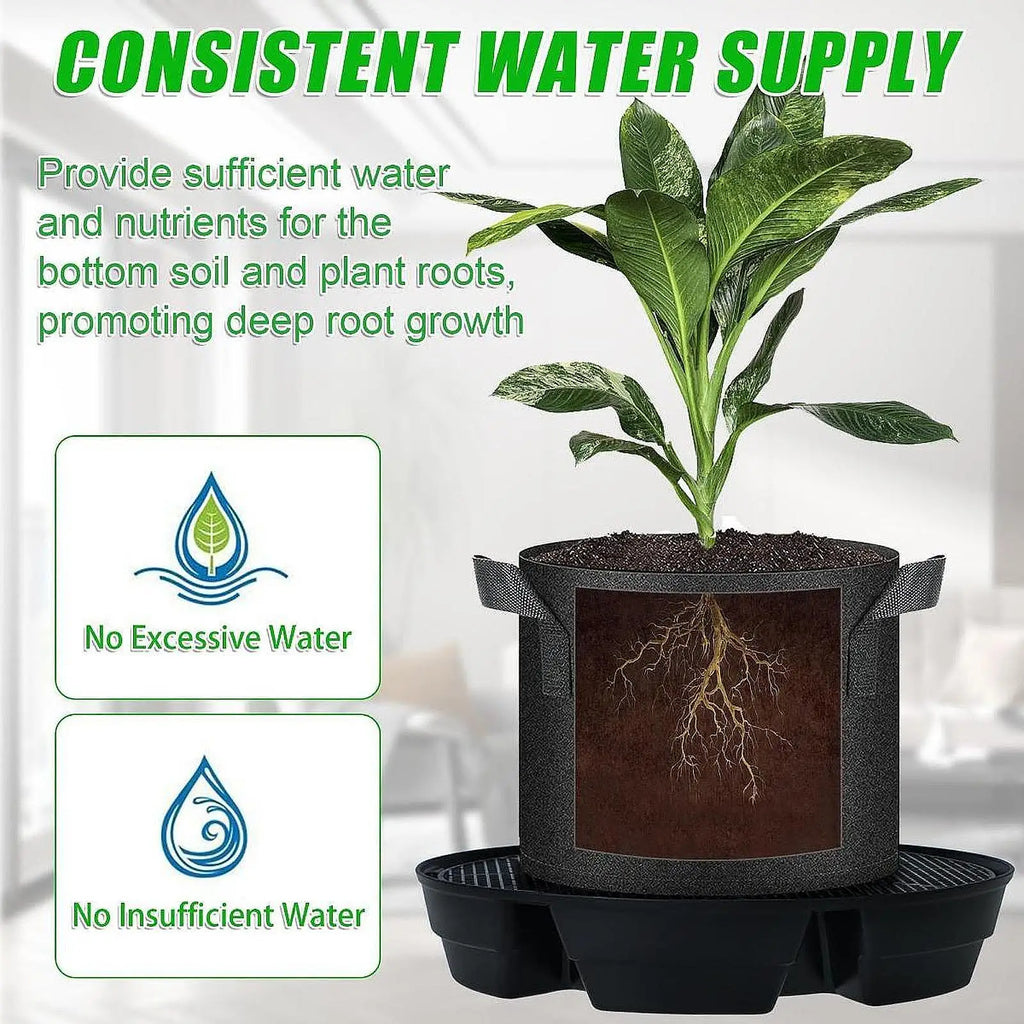 Self Watering Pot Base Set Easy Care Bottom Watering Tray Indoor Plant Stand for Office Flower Pot Quake