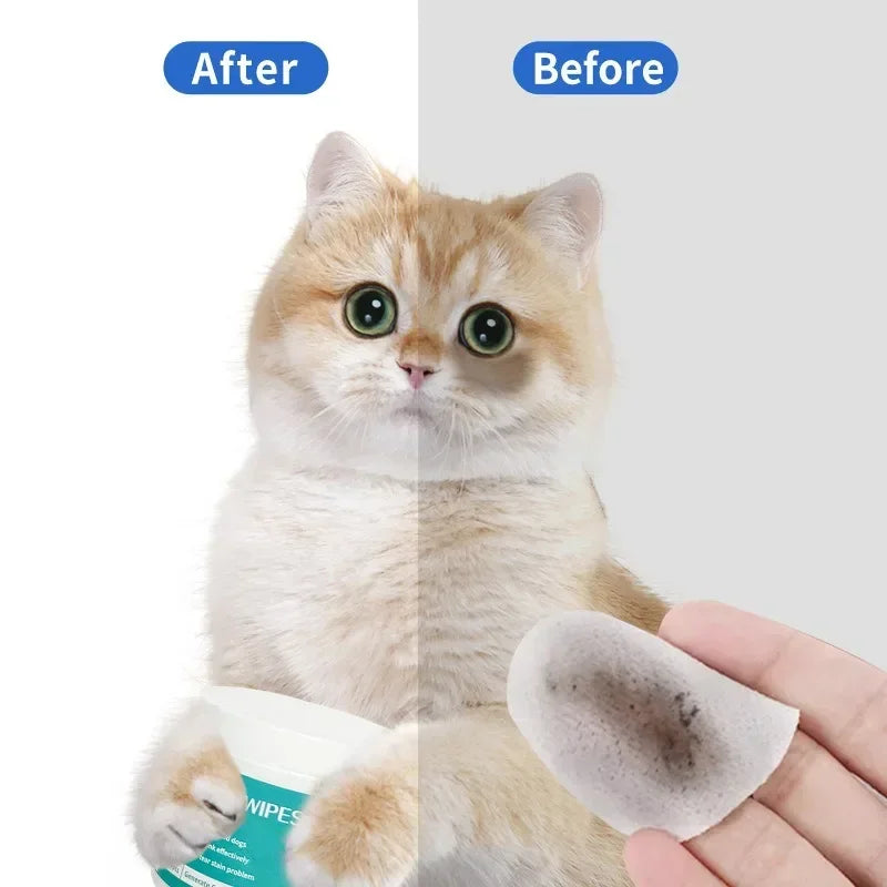 Pet Cleaning Products Eye Wipes To Remove Tear Marks Cleaning Wet Tissues Cat Wiping Eyes Removing Tear Marks and Cleaning Pet Quake