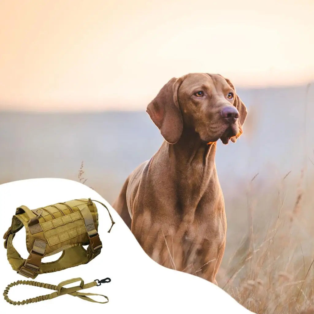Pet Detachable Dog Harness Service Dogs for Breeds Hunting Running Quake Khaki L