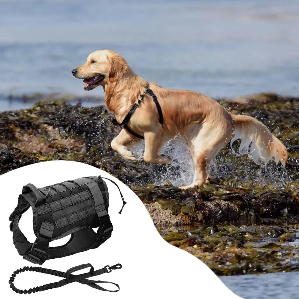 Pet Detachable Dog Harness Service Dogs for Breeds Hunting Running Quake Black XL