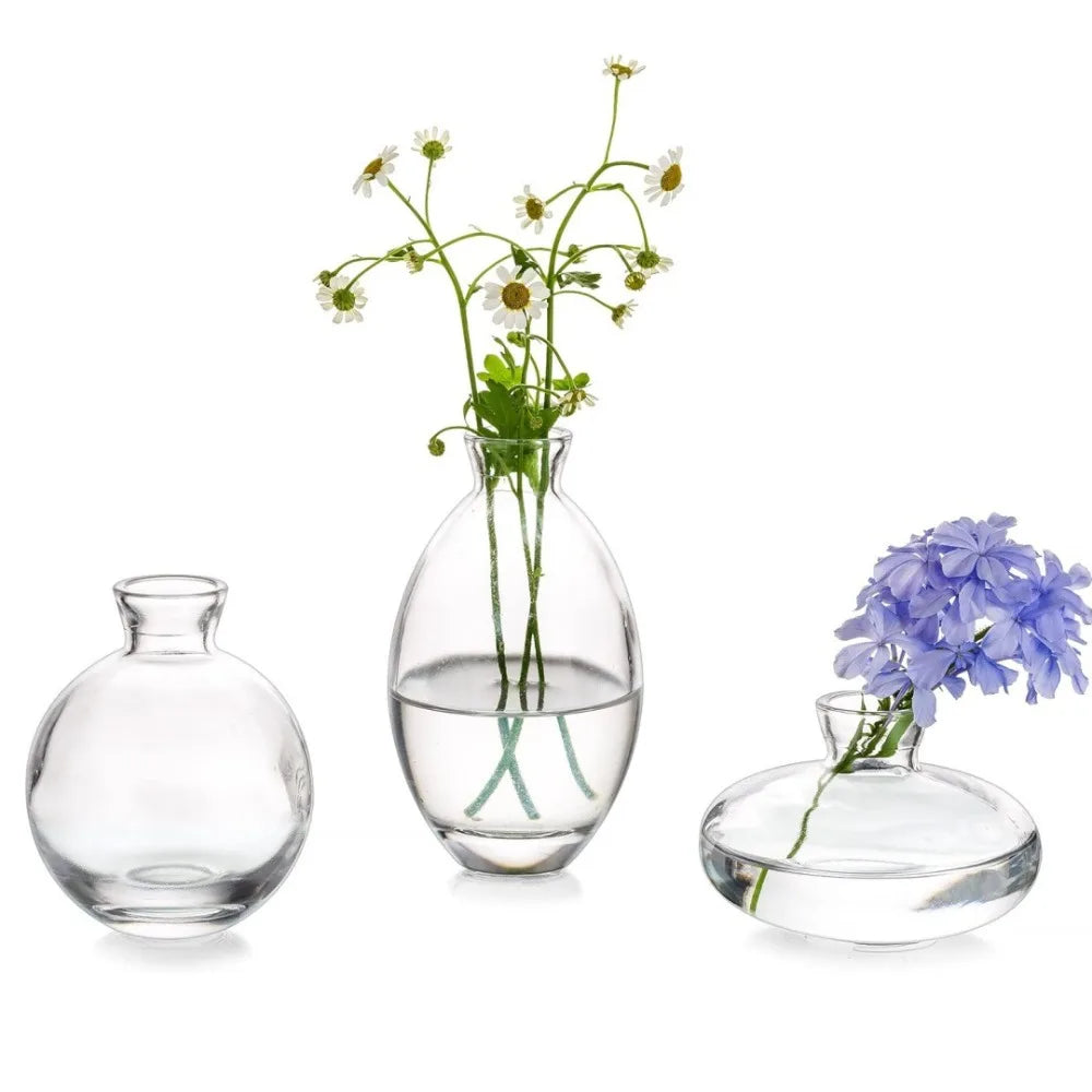 Transparent Mini Flower Vase Home Decoration Glass Hydroponic Plant Bottle Small Desktop Flower Arrangement Pot Living Room Quake
