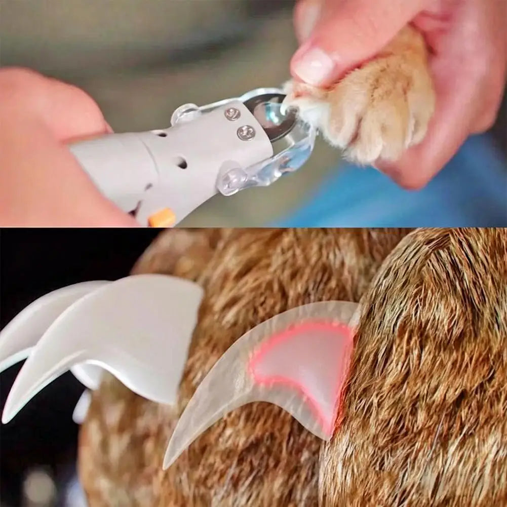 LED Pet Nail Clippers for Cats and Dogs with Magnifier and Splash Guard Ergonomic ABS Handle for Safe Precise Grooming Quake