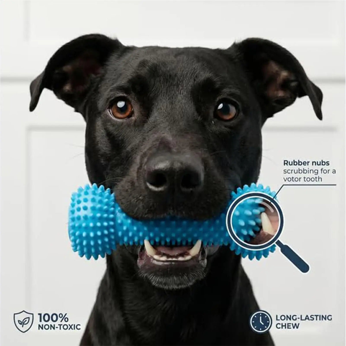 Dog Chew Toy, Double-Action Rubber Chewer, Teeth Cleaning for Small Medium Large Breeds, Home Daily Use Quake