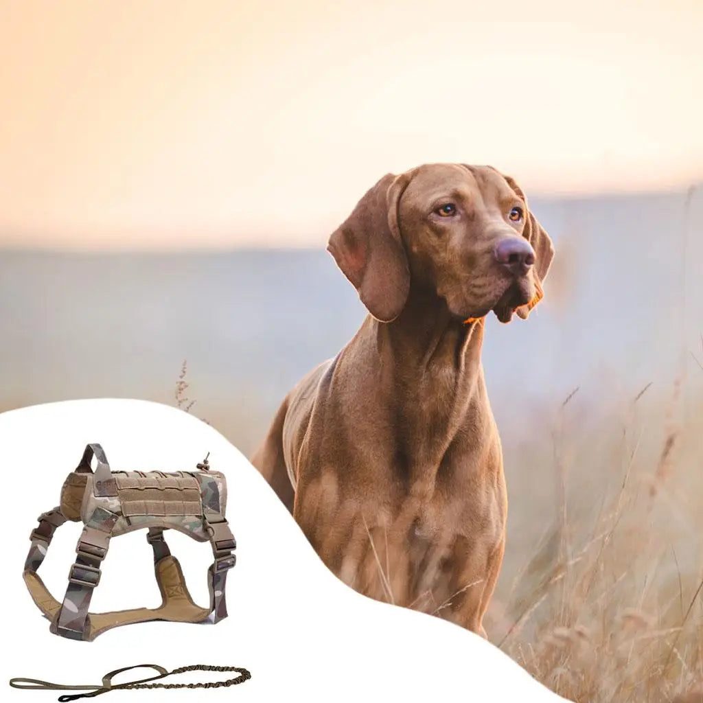 Pet Detachable Dog Harness Service Dogs for Breeds Hunting Running Quake Camouflage XL