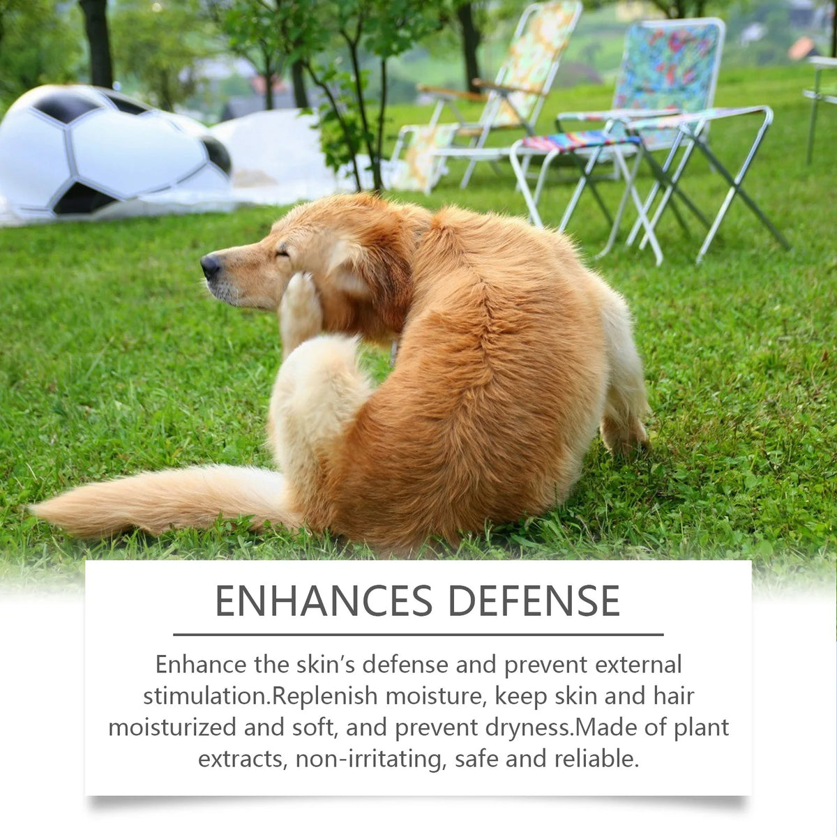 100ml New Itch Shampoo For Dogs,Allergic, Itching, Nourishing Hair Desechos Y Limpieza Del Hogar Aseo Para Perros Mascotas Quake