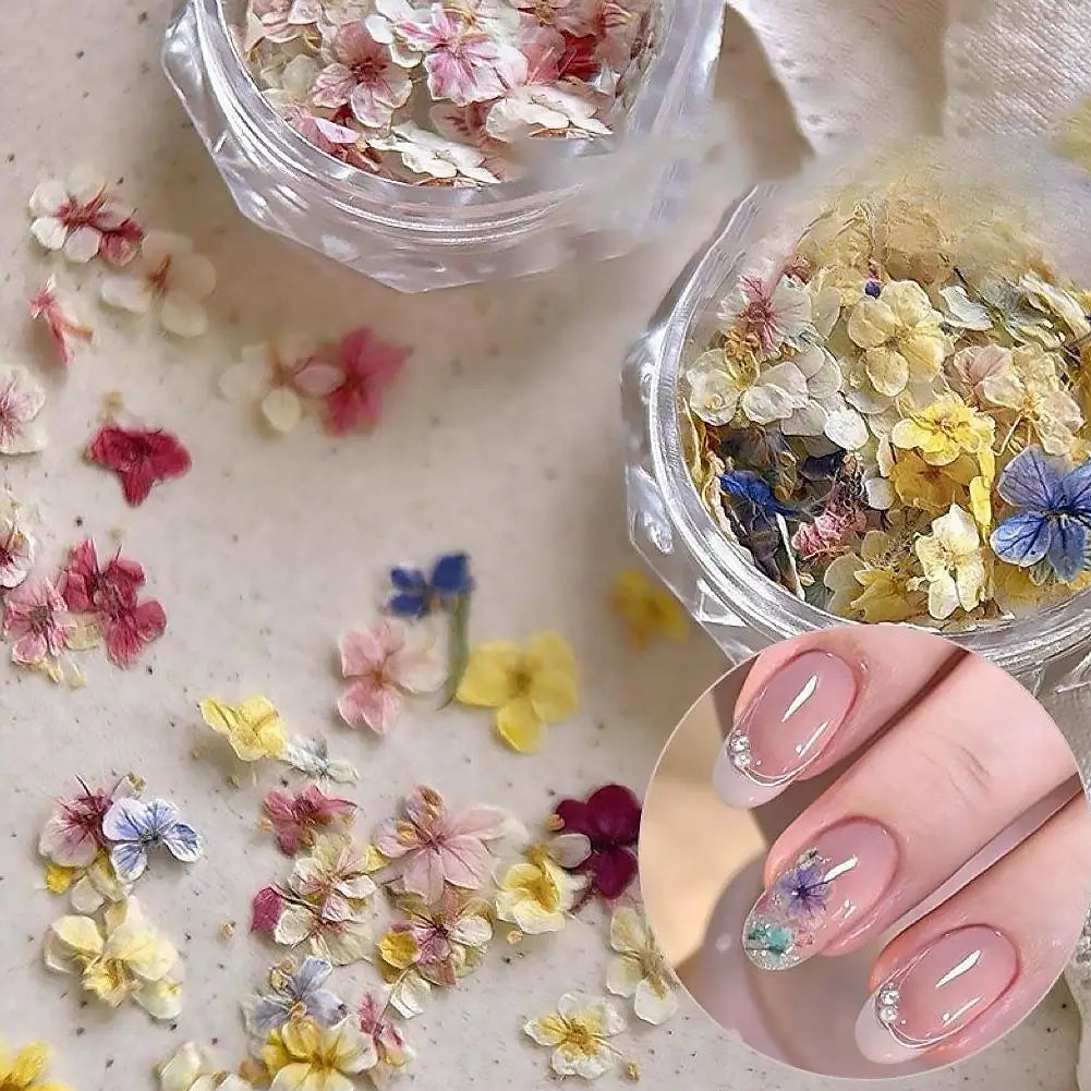 1 Box 3D Dried Flowers Nail Art Stickers Decals Mix Tiny Floral Petals Colorful Flower For Nails Crafts DIY Manicure Decorations Quake
