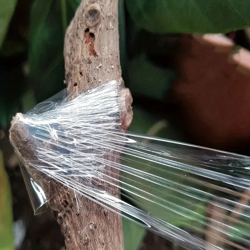Self-adhesive PE Grafting Tape Film Stretchable Garden Tree Plants Seedlings Vine Tomato Grafting Accessories Quake