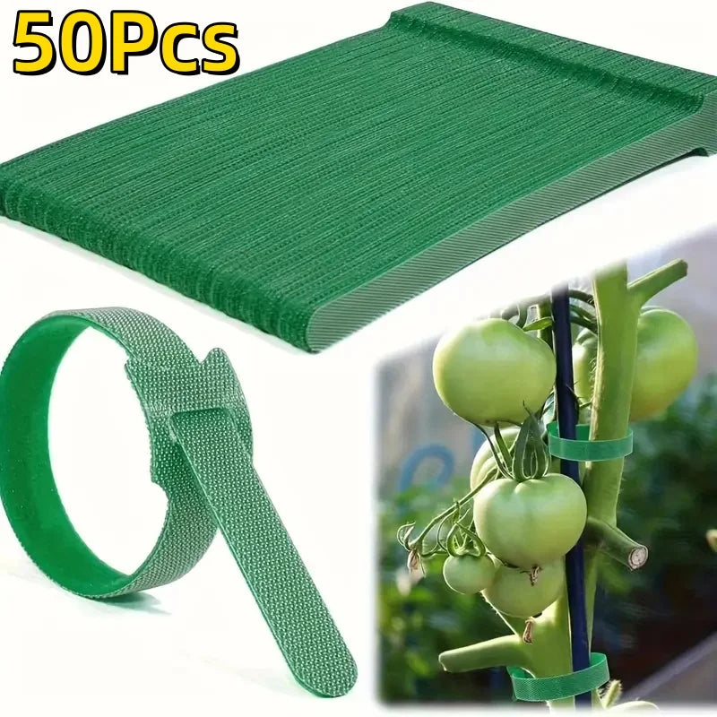 50/100Pcs Reusable Adjustable Non-Slip Nylon Plant Ties Perfect for Climbing Plants Support and Gardening Maintenance Tool Safe Quake 50Pcs