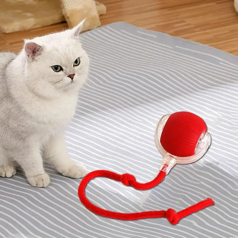 Automatic Rolling Ball Interactive Ball Cat Toys Pet Supplies Electric Dog and Cat Training to Imitate Rat Rechargeable Products Quake