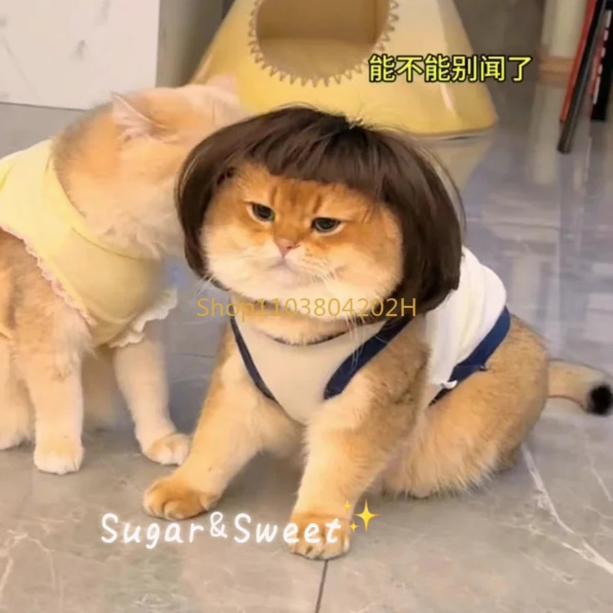 Dog Wig Funny Pet Wig Headgear Cat Dog Funny Hair Accessories Bangs Braids Exploding Heads Cosplay Quake
