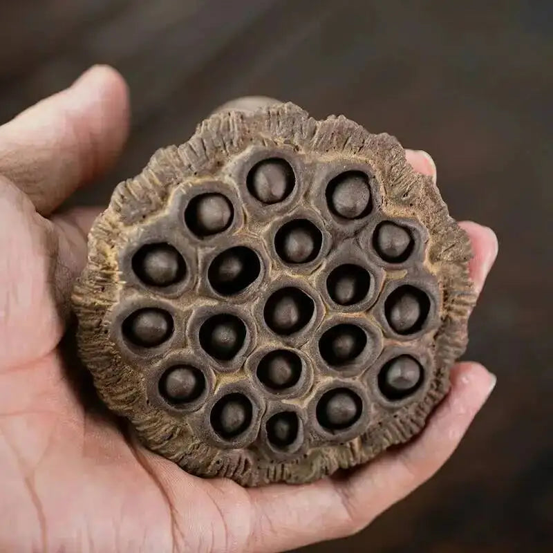Yixing Zisha Tea Pet Lotus Pod Ornament Old Lotus Seed Sculpture Craft Tea Set Tea Ceremony Ceramic Accessories Miscellaneous Quake Style 4 2