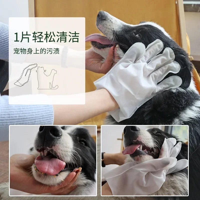 6PCS Cat Dog Disposable Glove Towels Pet Wash Free Glove No Rinse Washing Gloves Towels Deodorizing Dry Cleaning Wet Towels Quake