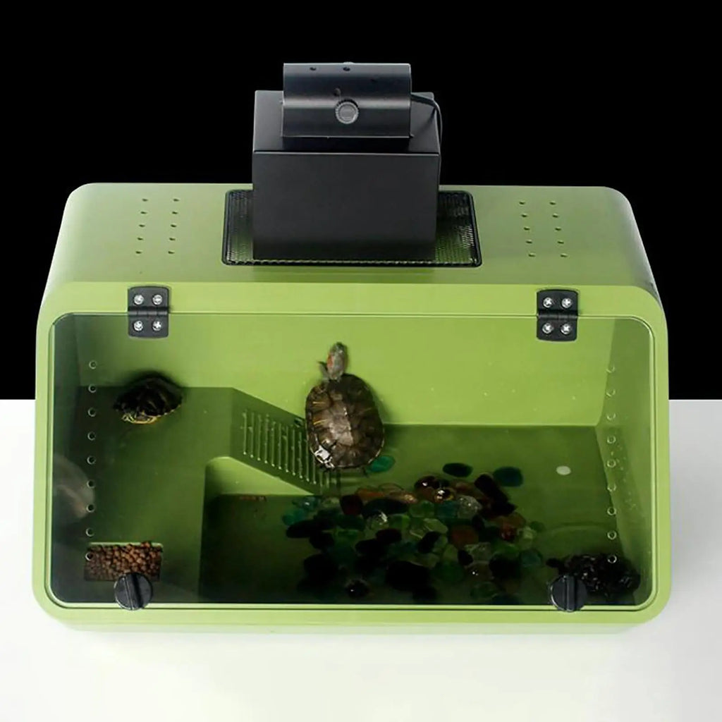 Turtle Basking Platform Turtle Resting Basking Platform, Turtle Ramp for Turtle Tank, for Small Reptile Frog Terrapin Quake