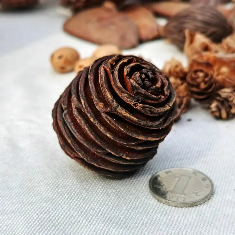Dried Flowers Fruits & Pinecones Small Pet Supplies Decor - Natural Handmade Ornaments for Hamster Rabbit Cage, Home Decoration Quake