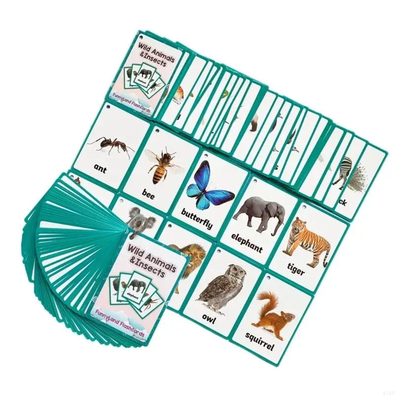 Wildlife Insect Flash Cards For Kid With Vibrant Pictures And Words To Enhances Language Learning And Cognitive Skills K1KF Quake