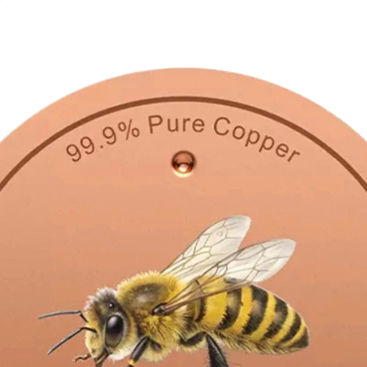 Bird Bath Purification Disk Metal Bee Patterns Cleaner Durable Rustproof Portable for Outdoor Garden Deck Patio Bowl Fountain Quake