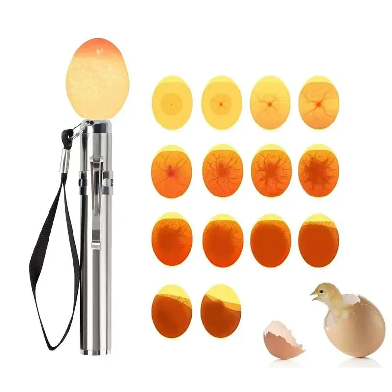 Bright LED Egg Candling Lamp Egg Tester for Dark Chicken Quail Canary Eggs Quake