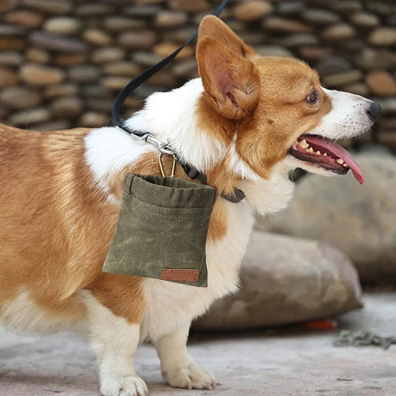 Portable Dog Treat Waist Bag Waterproof Durable Pet Outdoor Training Feeding Pouch Walking Dog Food Storage Pocket Supply Quake