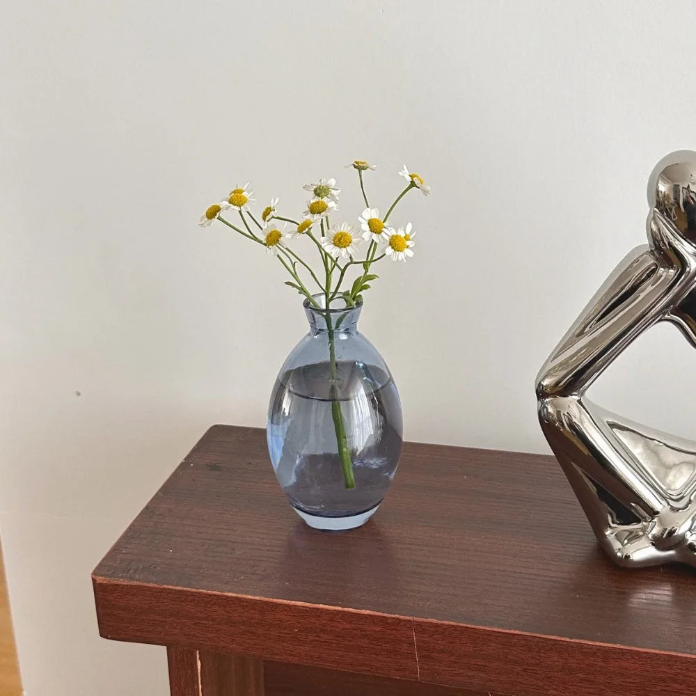 Transparent Mini Flower Vase Home Decoration Glass Hydroponic Plant Bottle Small Desktop Flower Arrangement Pot Living Room Quake