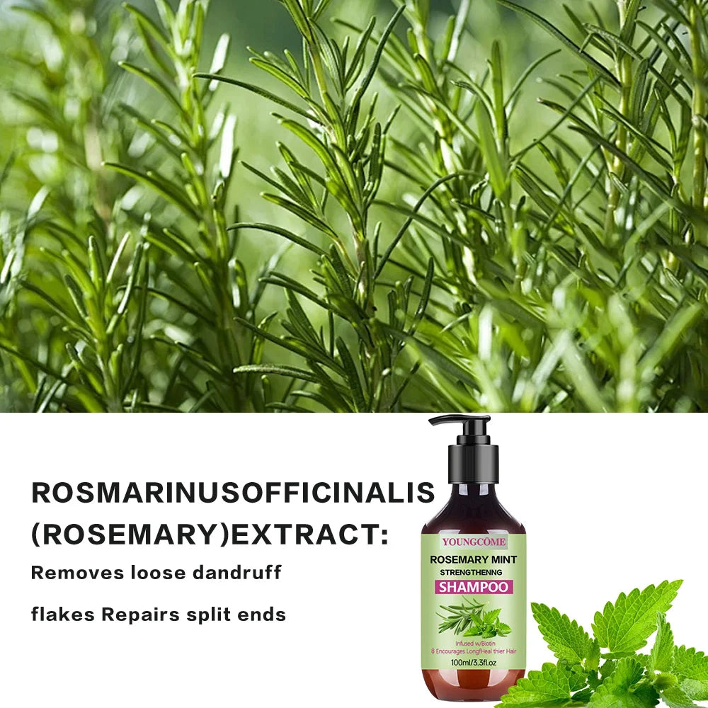YOUNGCOME ROSEMARY MINT STRENGTHENNG SHAMPOO Quake