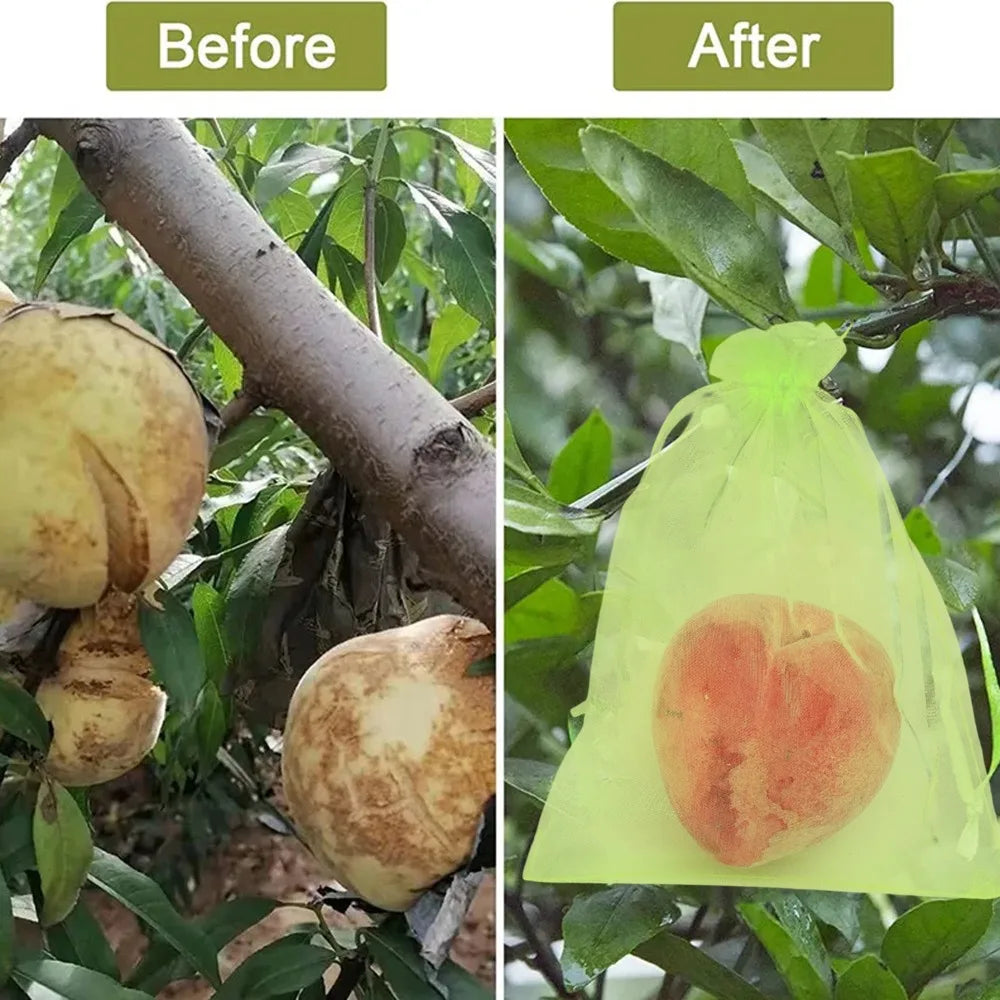 Fruit Protection Mesh Bags Reusable Insect Proof Drawstring Bags Pest Barrier Covers for Fruit Trees Plants Home Garden Supplies Quake