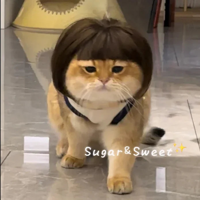 Dog Wig Funny Pet Wig Headgear Cat Dog Funny Hair Accessories Bangs Braids Exploding Heads Cosplay Quake Default Title