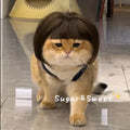 Dog Wig Funny Pet Wig Headgear Cat Dog Funny Hair Accessories Bangs Braids Exploding Heads Cosplay Quake Default Title