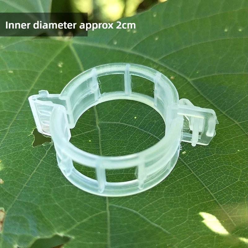 Plant Fixing Clips Vine Fastener Seedling Support Clamp Fruit Vegetable Vines Trellis Holder Gardening Seedling Hanging Clip Quake