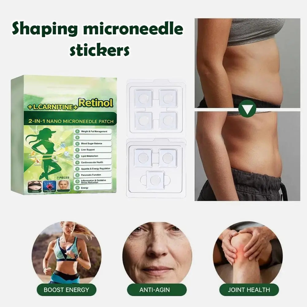 2-in-1 Nano Microneedle Patch Natural Gentle Patches Moisturizing Firming Skin for Women Men Nano Microdarts Patches 0.2mm Quake