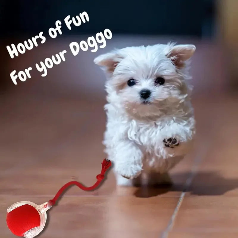 Automatic Rolling Ball Interactive Ball Cat Toys Pet Supplies Electric Dog and Cat Training to Imitate Rat Rechargeable Products Quake