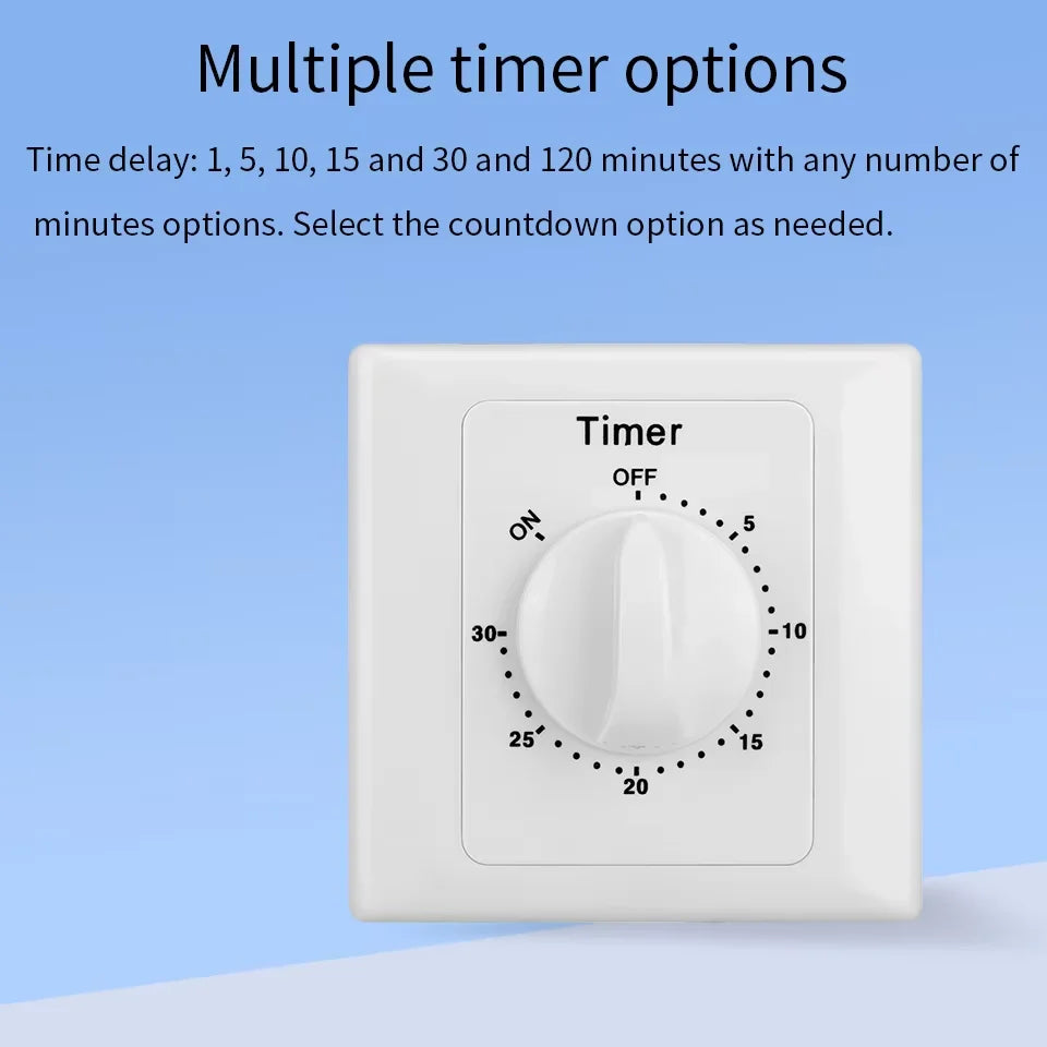 High Quality Mechanical Time Switch Electrical AC 220V Household Water Pump Countdown Timer Time Delay Switch Quake