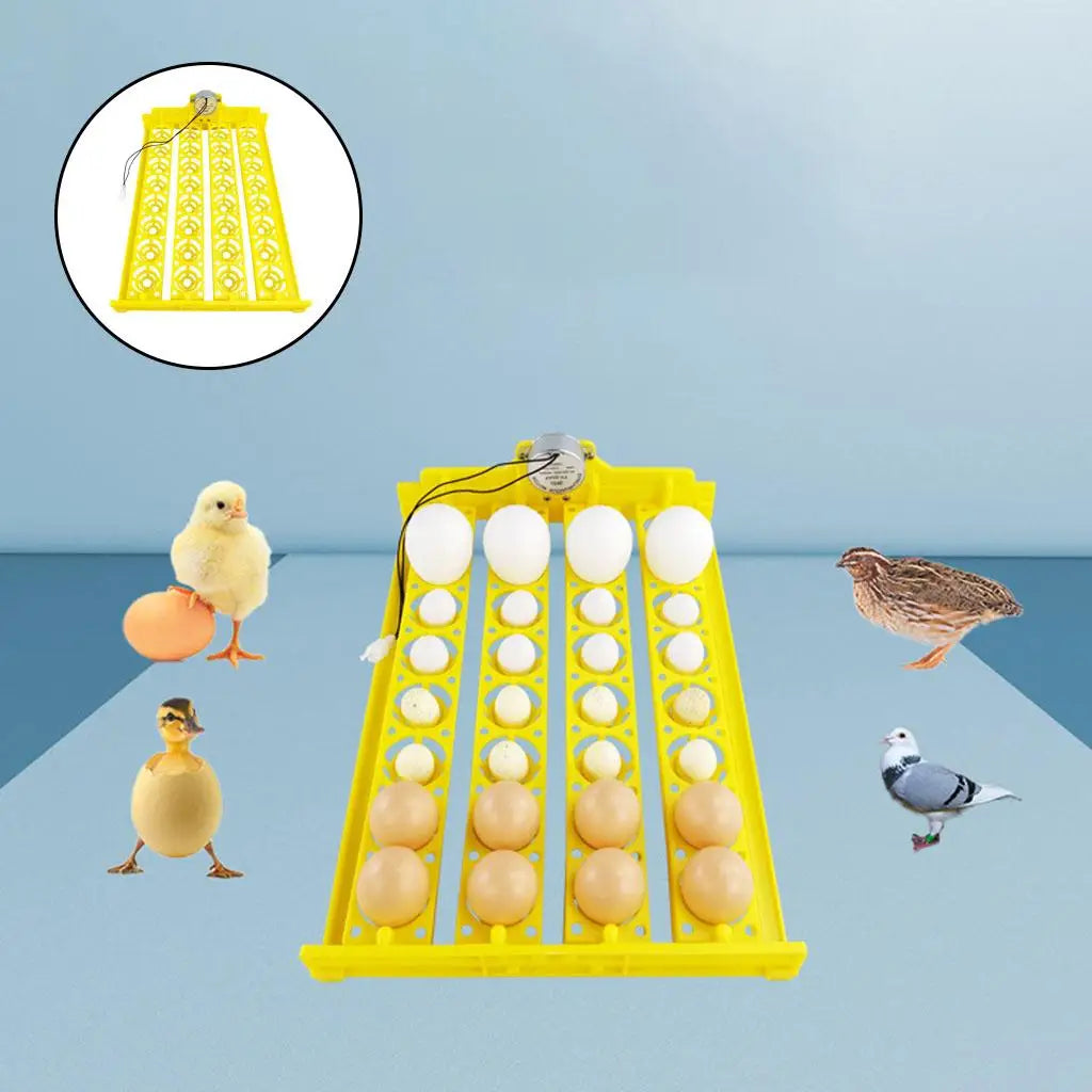 32Pcs Eggs Incubator Tray, Automatic Egg Turner Turning Tray Automatic Egg Quake