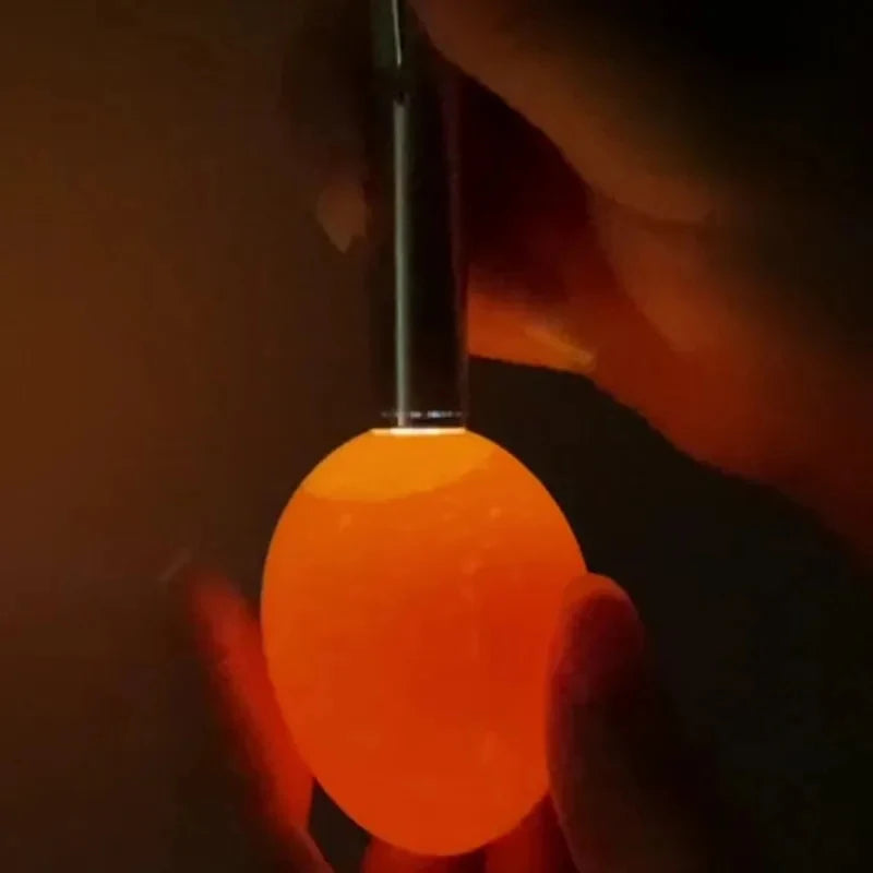 Bright LED Egg Candling Lamp Egg Tester for Dark Chicken Quail Canary Eggs Quake
